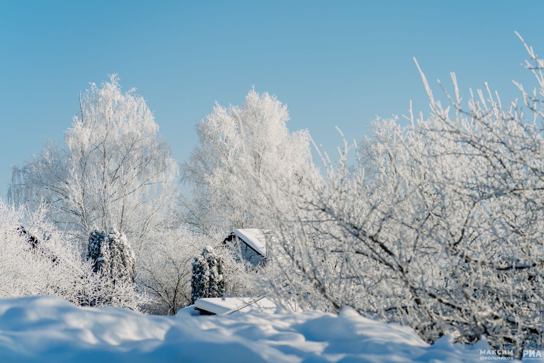 В Тверскую область возвращаются 20-градусные морозы