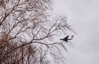Синоптики рассказали, каких аномалий ждать жителям Тверской области в марте аномалий