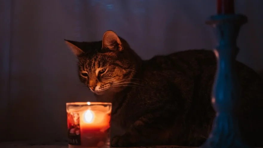 отключения света