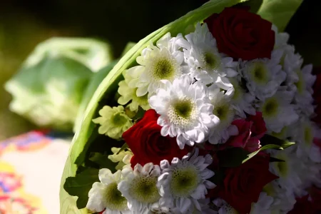 день рождения