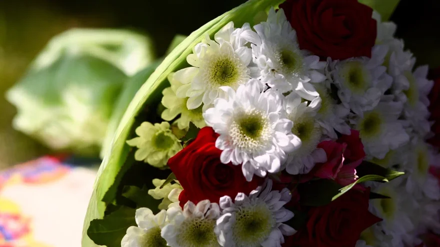 день рождения