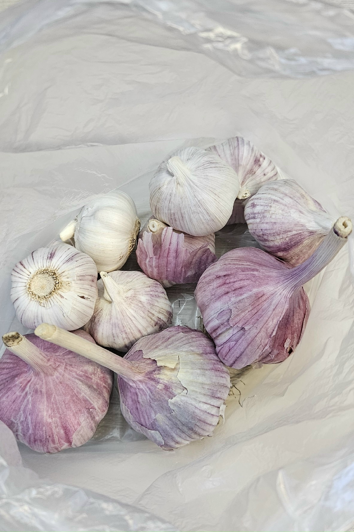 Жители Тверской области решили порадовать бойцов домашними гостинцами