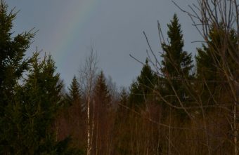 В Тверской области увидели первую весеннюю радугу радугу