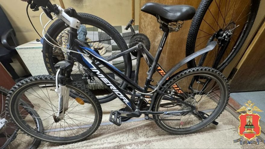 В Тверской области поймали серийных воров велосипедов