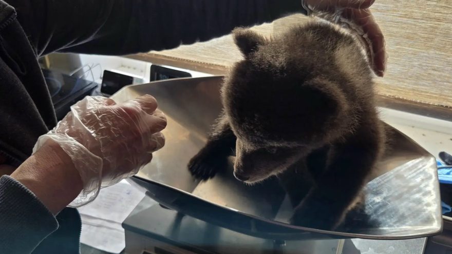 медосмотра