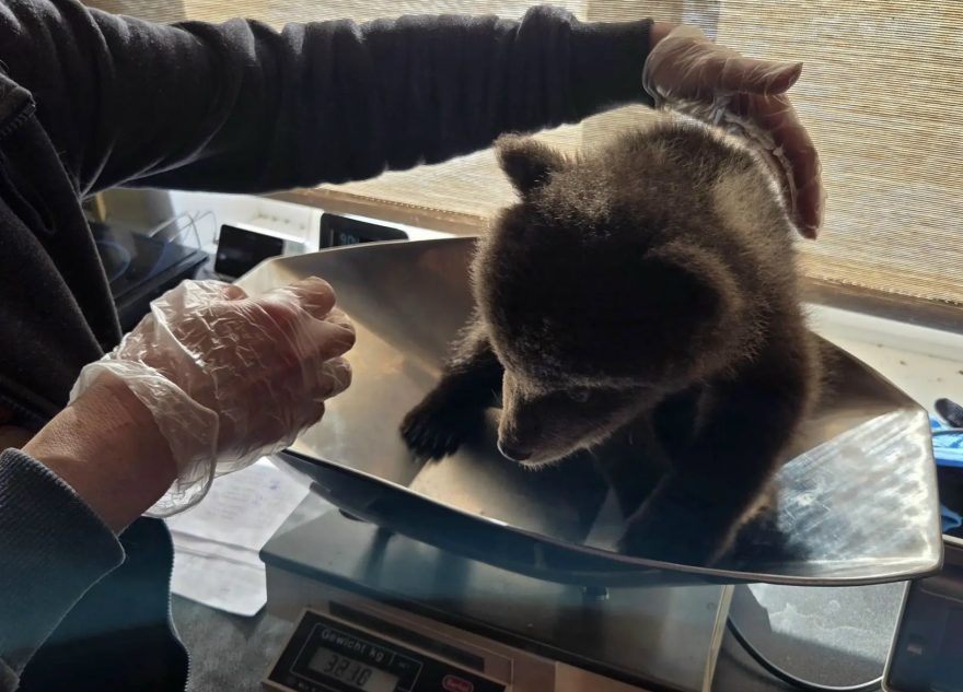 медосмотра