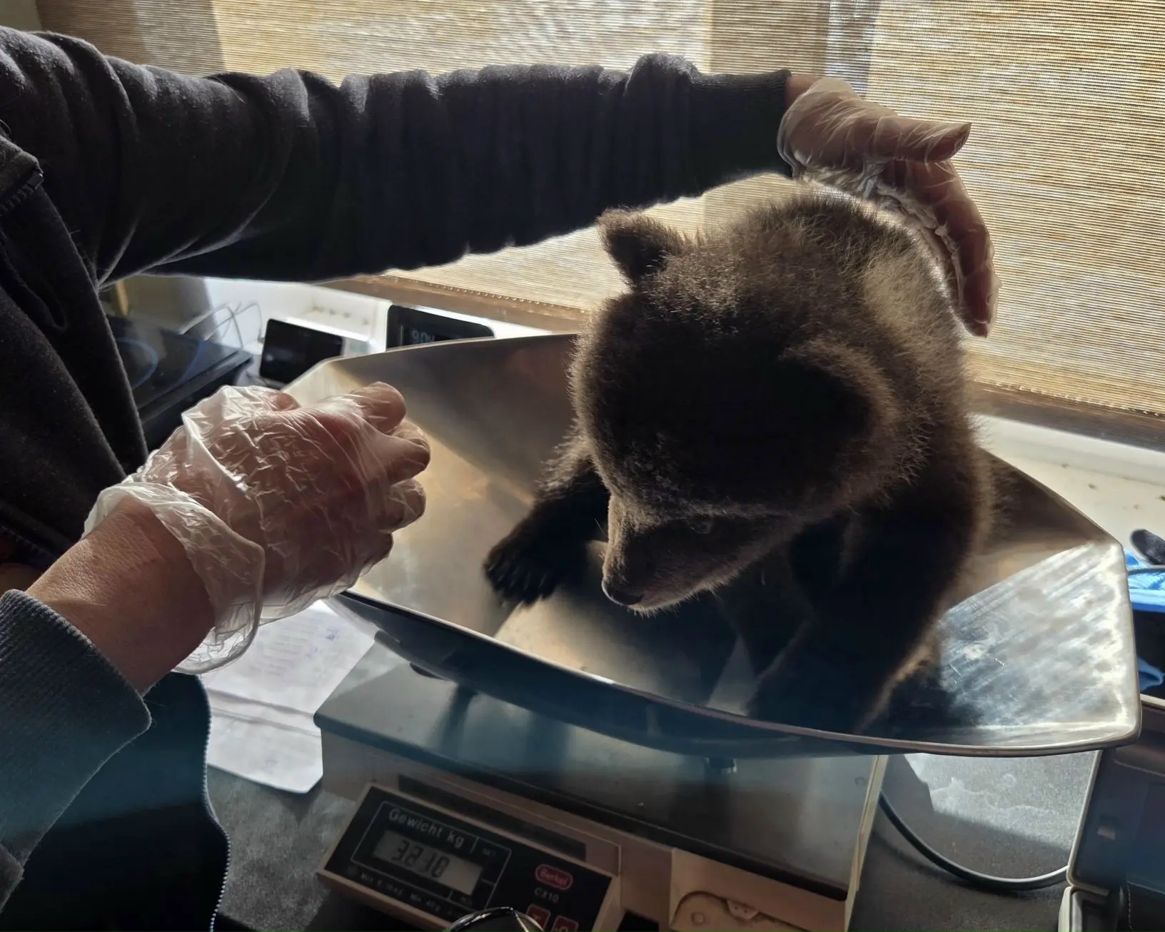 медосмотра