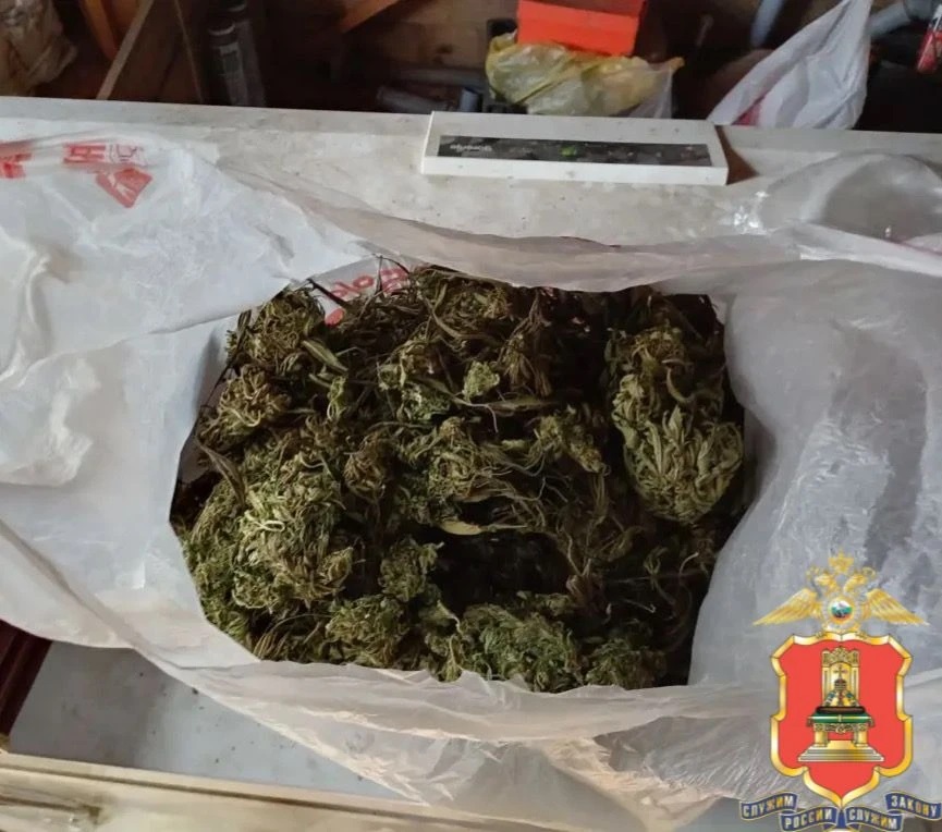 У жителя Тверской области нашли полкилограмма растительного наркотика