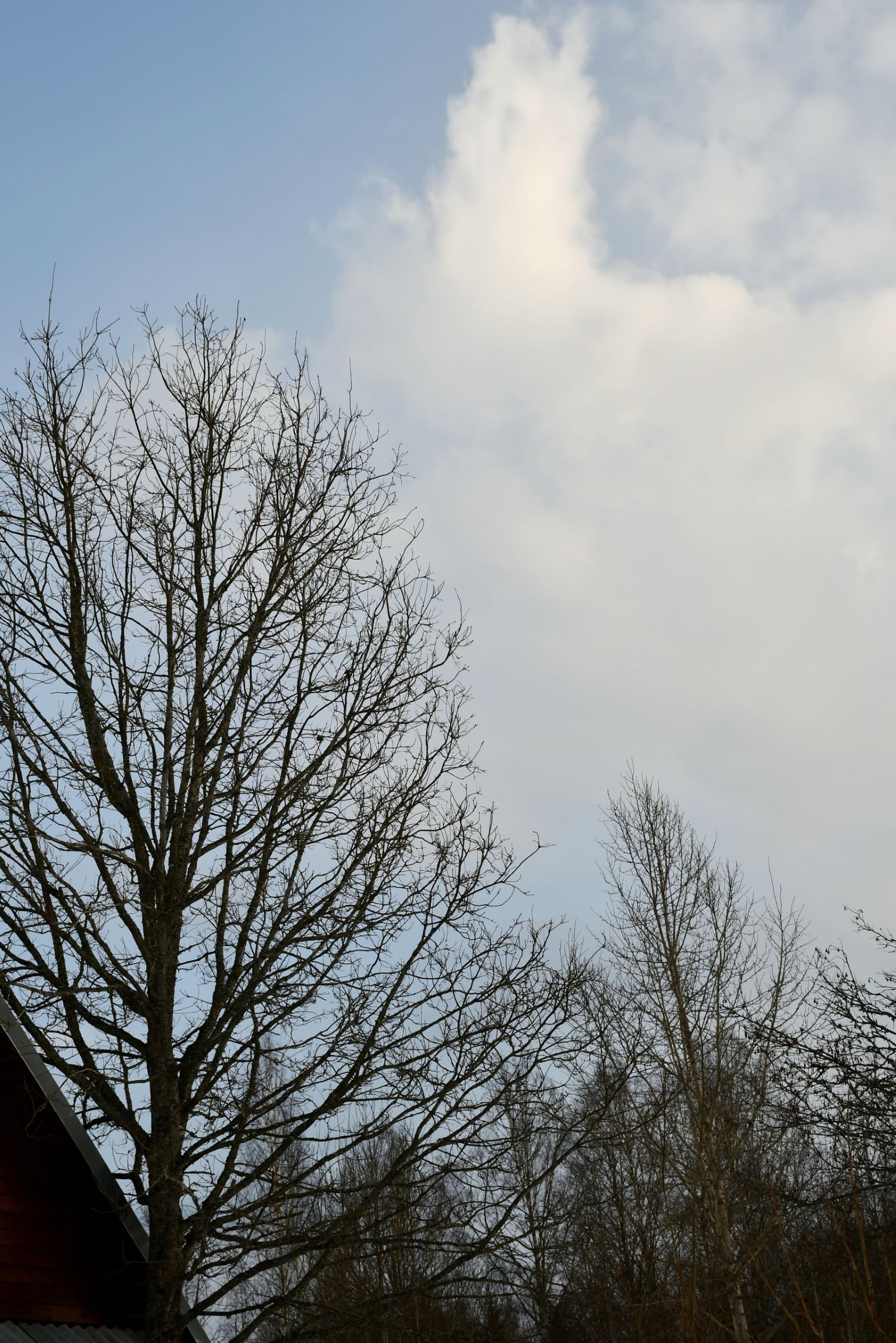 В Тверской области увидели первую весеннюю радугу