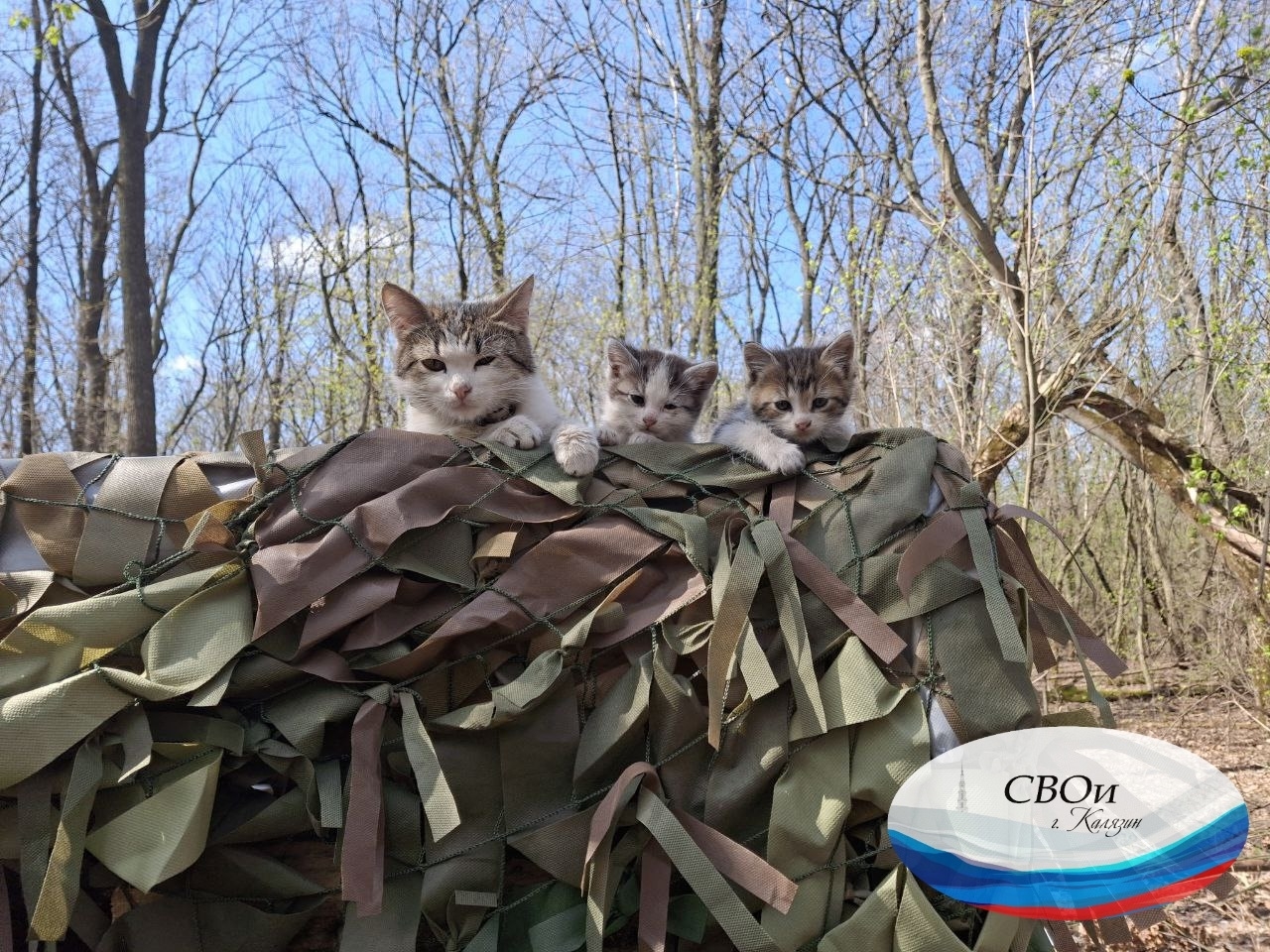 Волонтеры из Тверской области сплели тысячную маскировочную сеть