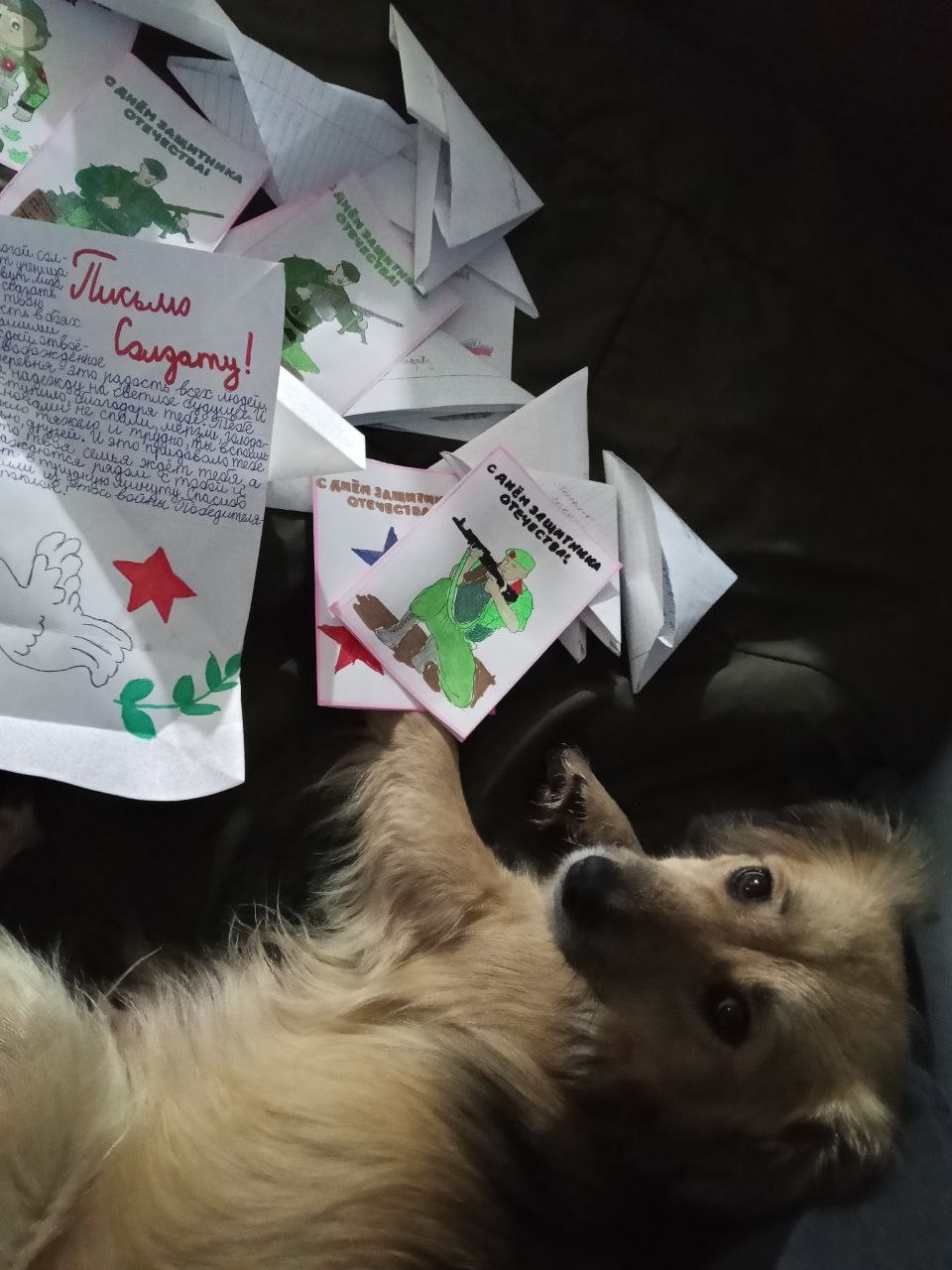 В Тверской области рассказали трогательную историю о дружбе в зоне СВО