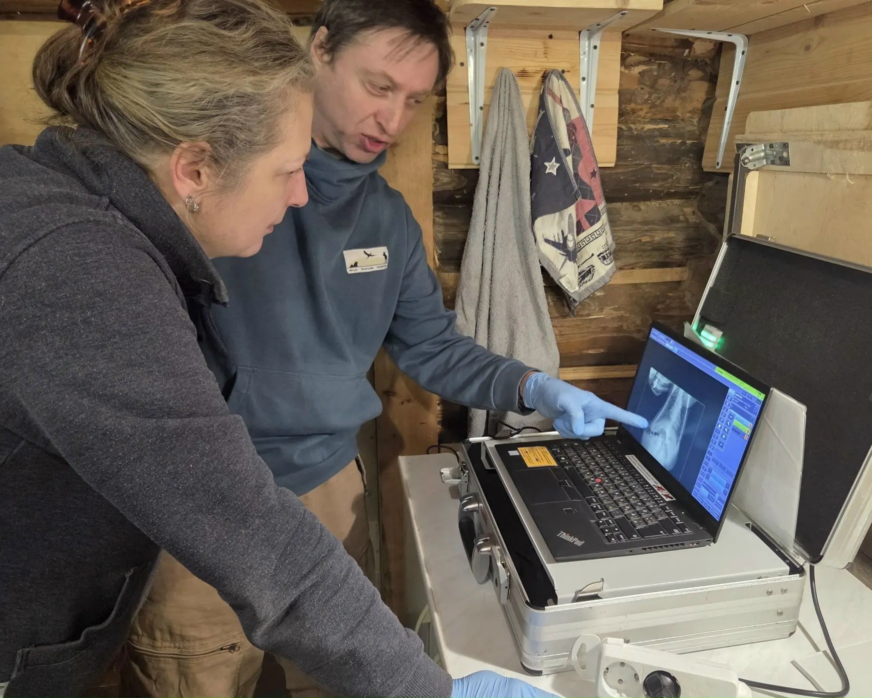 В Тверской области опубликовали фоторепортаж с медосмотра медведей