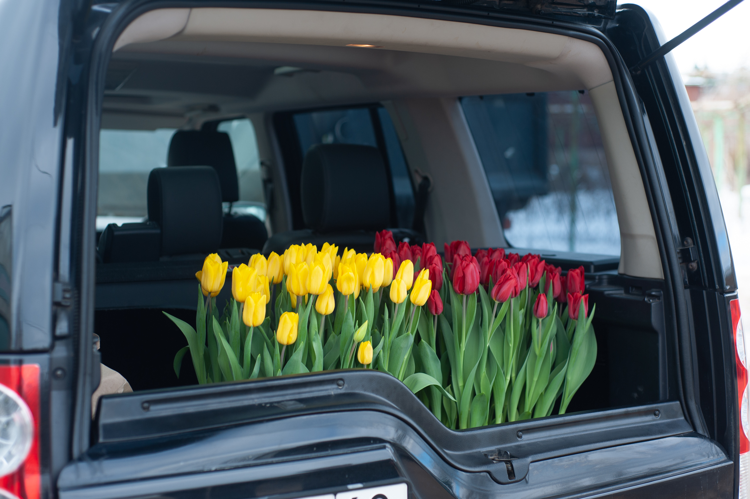 Рожденный в России: топ фактов о 8 Марта