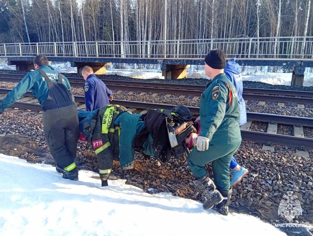 В Тверской области спасли мужчину, который заблудился в лесу