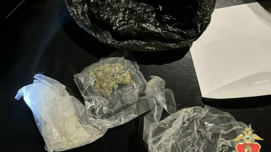 наркокурьеров