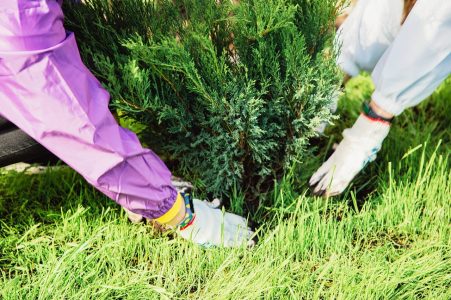 Юные жители Тверской области могут погрузиться в мир естественных наук