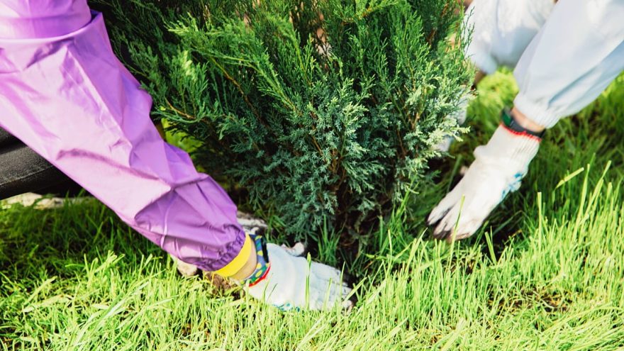 Юные жители Тверской области могут погрузиться в мир естественных наук