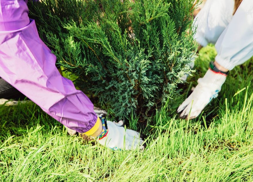 Юные жители Тверской области могут погрузиться в мир естественных наук