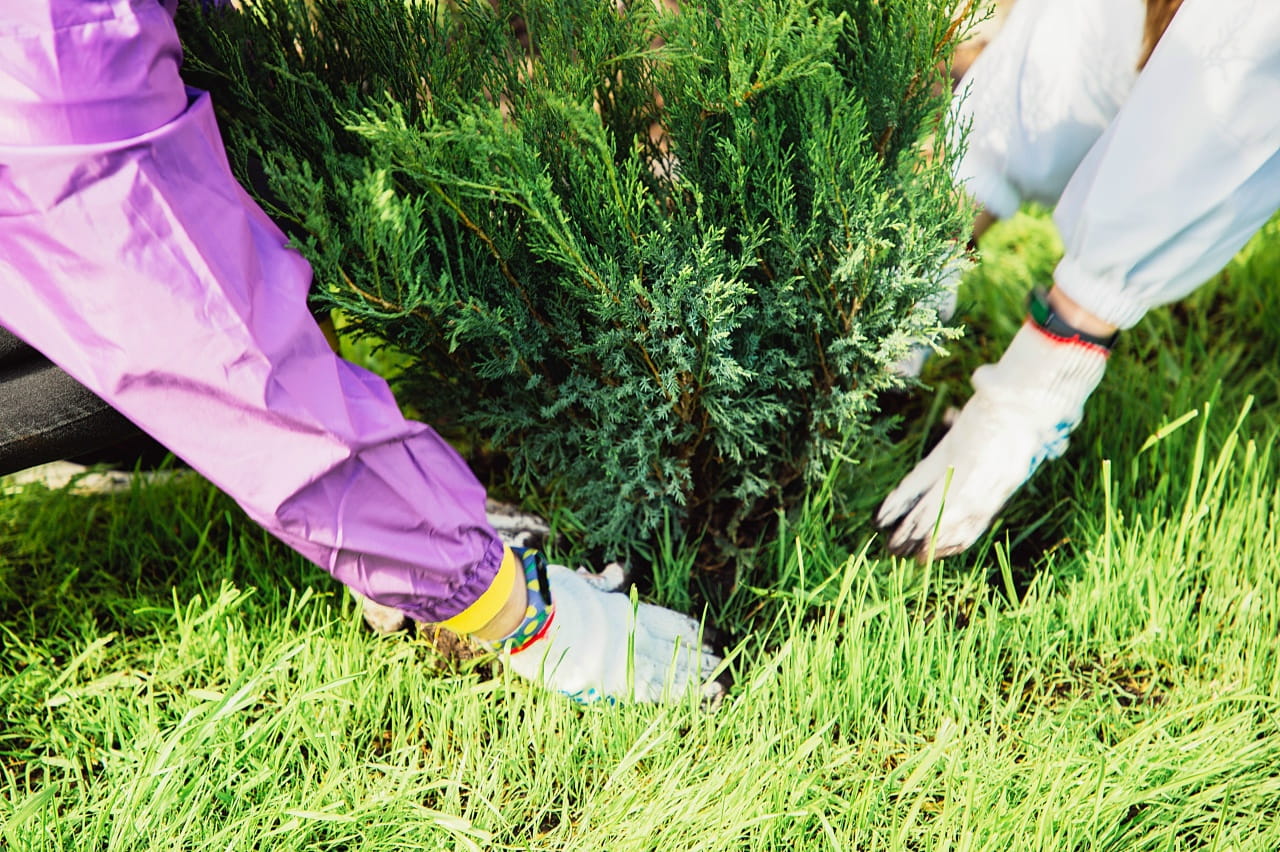 Юные жители Тверской области могут погрузиться в мир естественных наук
