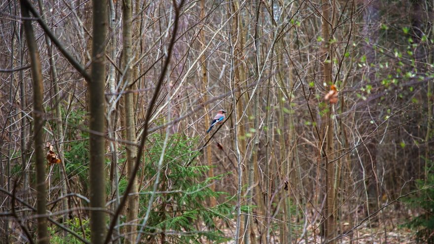 экологический