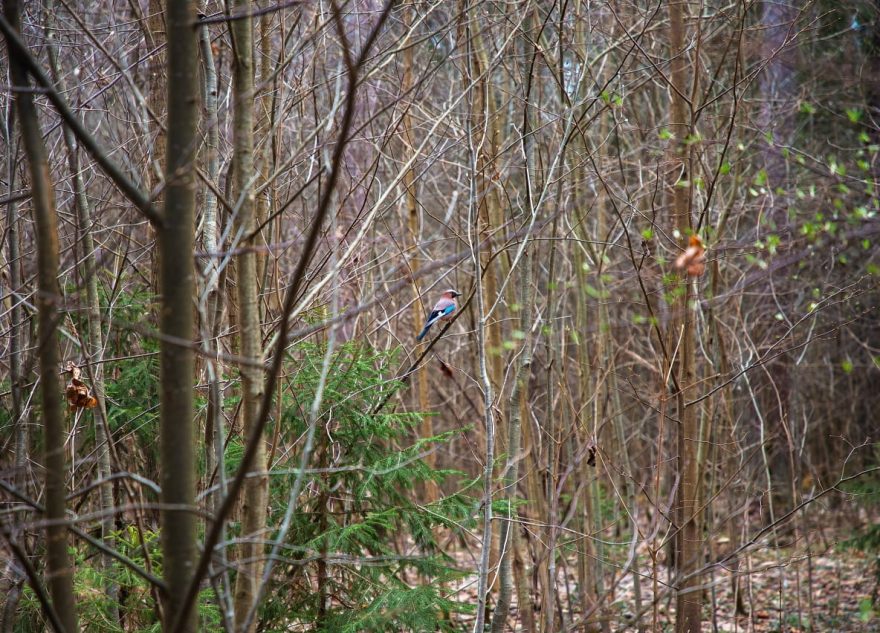 экологический