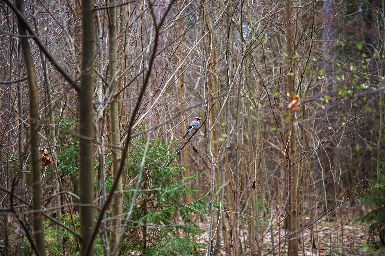 экологический