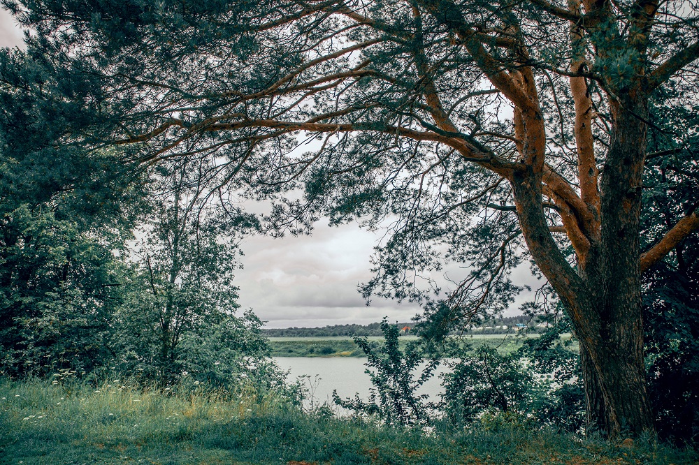Не проходите мимо: тайны Чапаевского домика в Твери