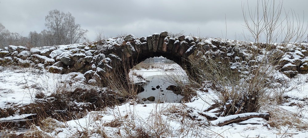Голоса, проклятья и вампиры: топ заброшек Тверской области