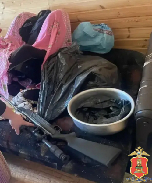 пневматическую