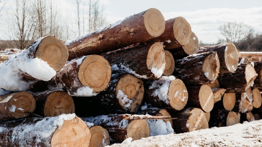 предприниматель