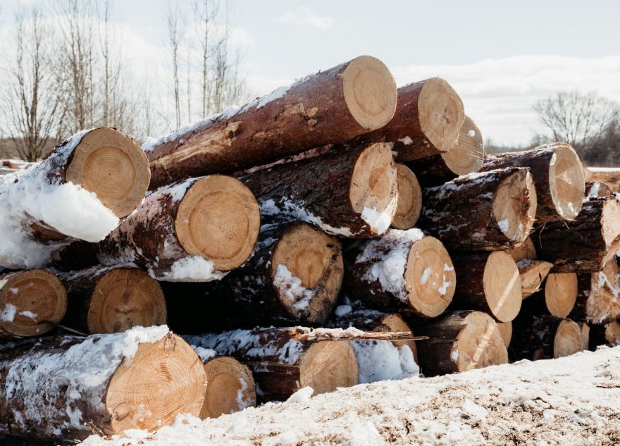 предприниматель