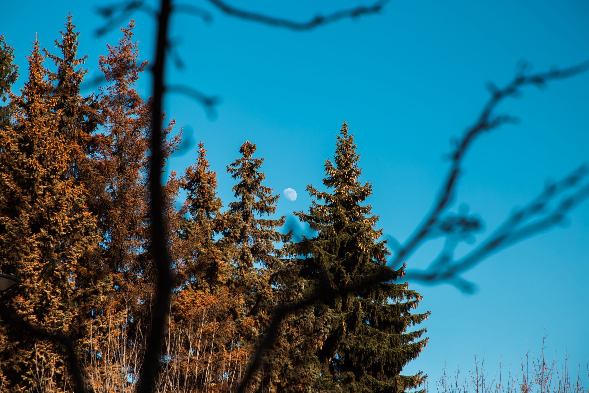 Почти лето: март решил поднять температуру в Тверской области