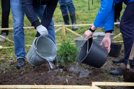 Россиянам напомнили, сколько праздничных дней будет в мае праздничных