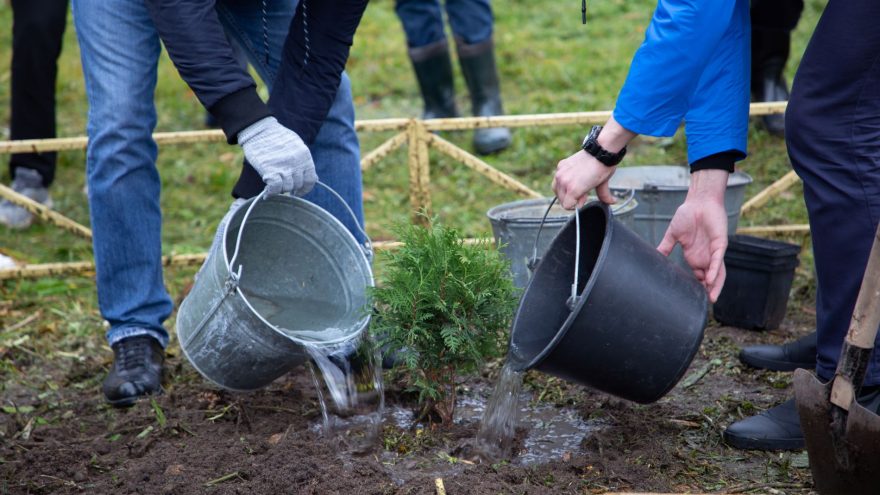праздничных