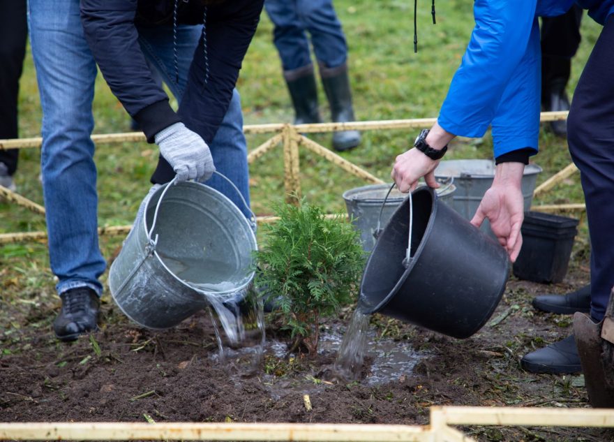 праздничных