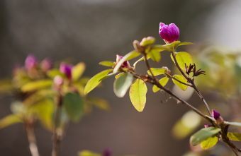 парадоксов