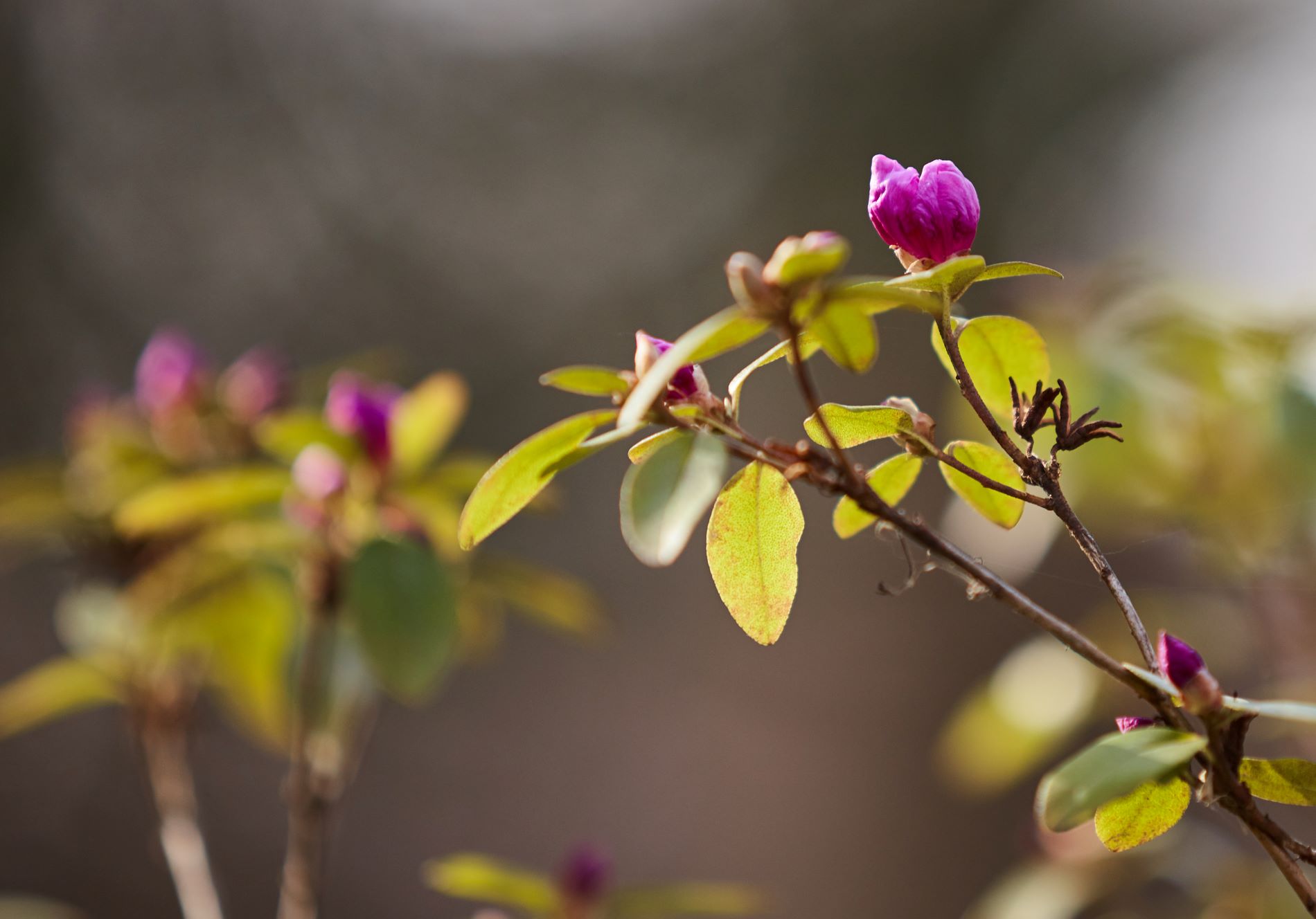 парадоксов