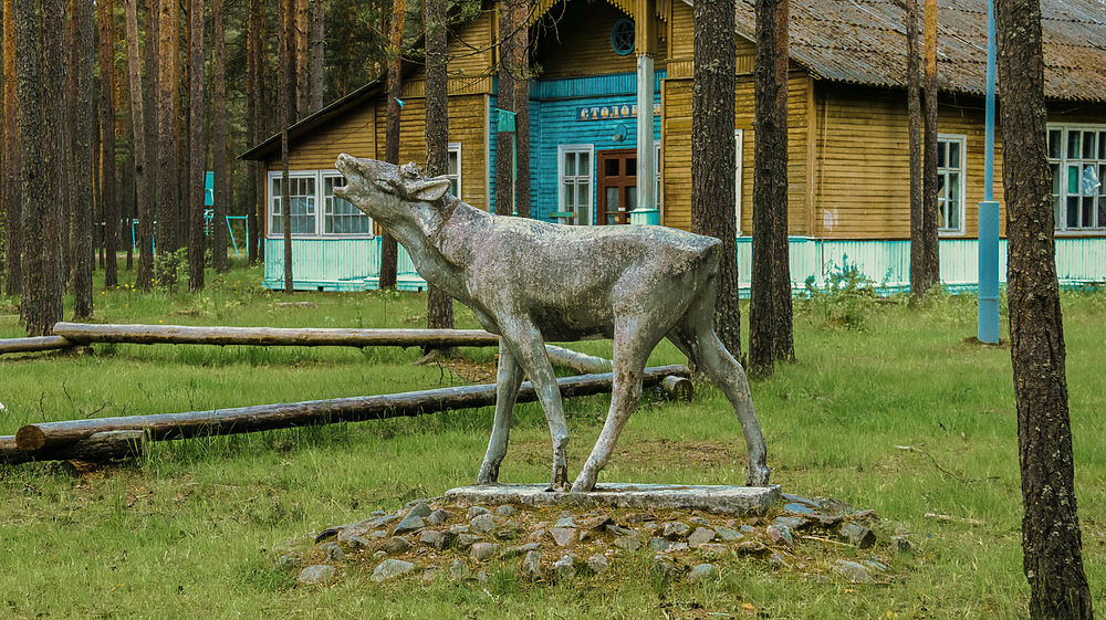 Голоса, проклятья и вампиры: топ заброшек Тверской области