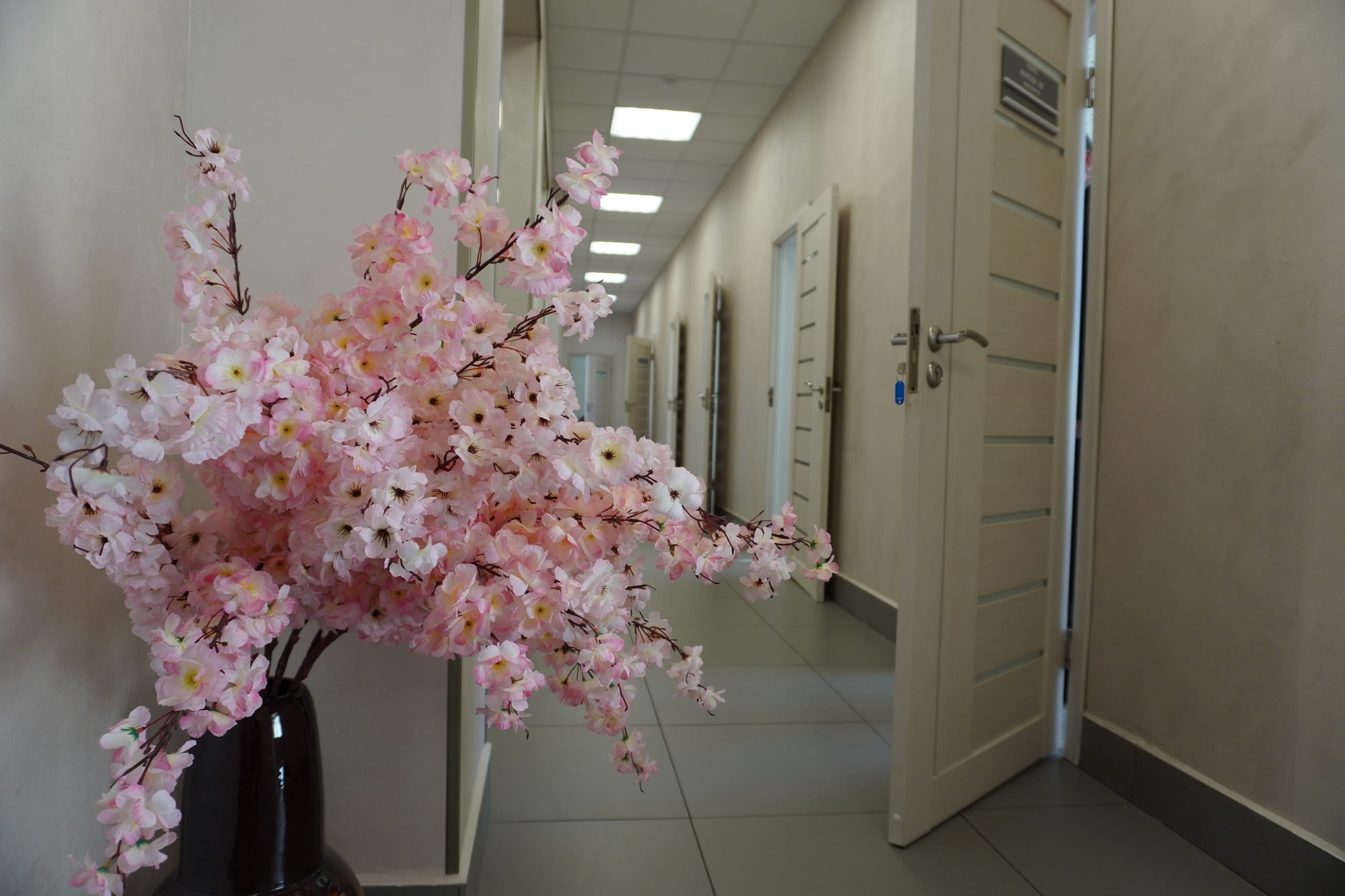 В Старице после капитального ремонта торжественно открыли детскую школу искусств