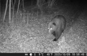 заповедника