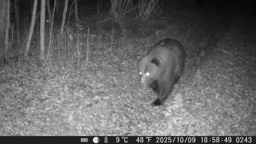 заповедника