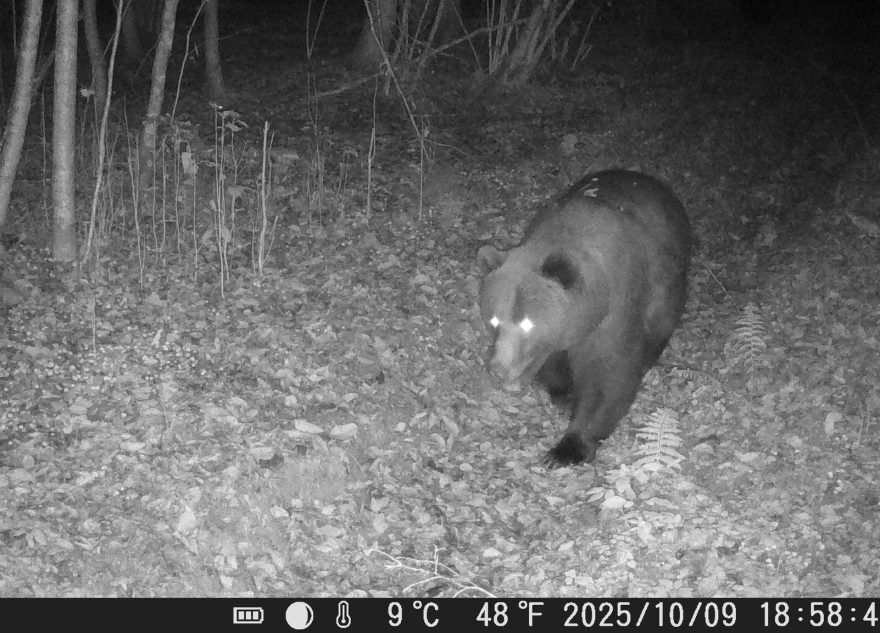 заповедника