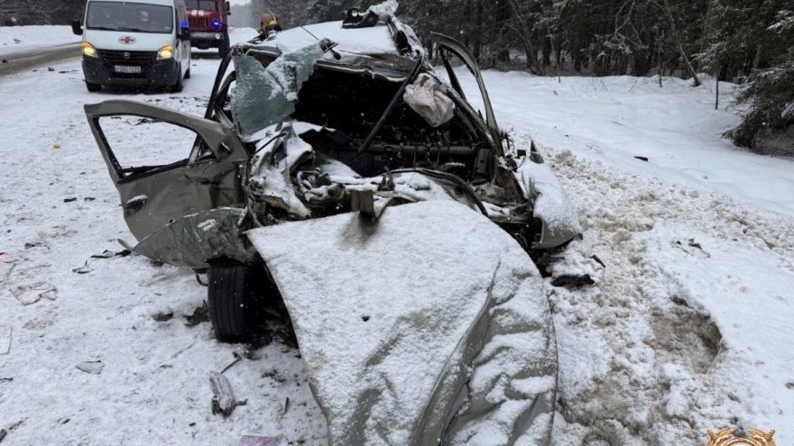 Пожилой водитель скончался на месте ДТП под Тверью