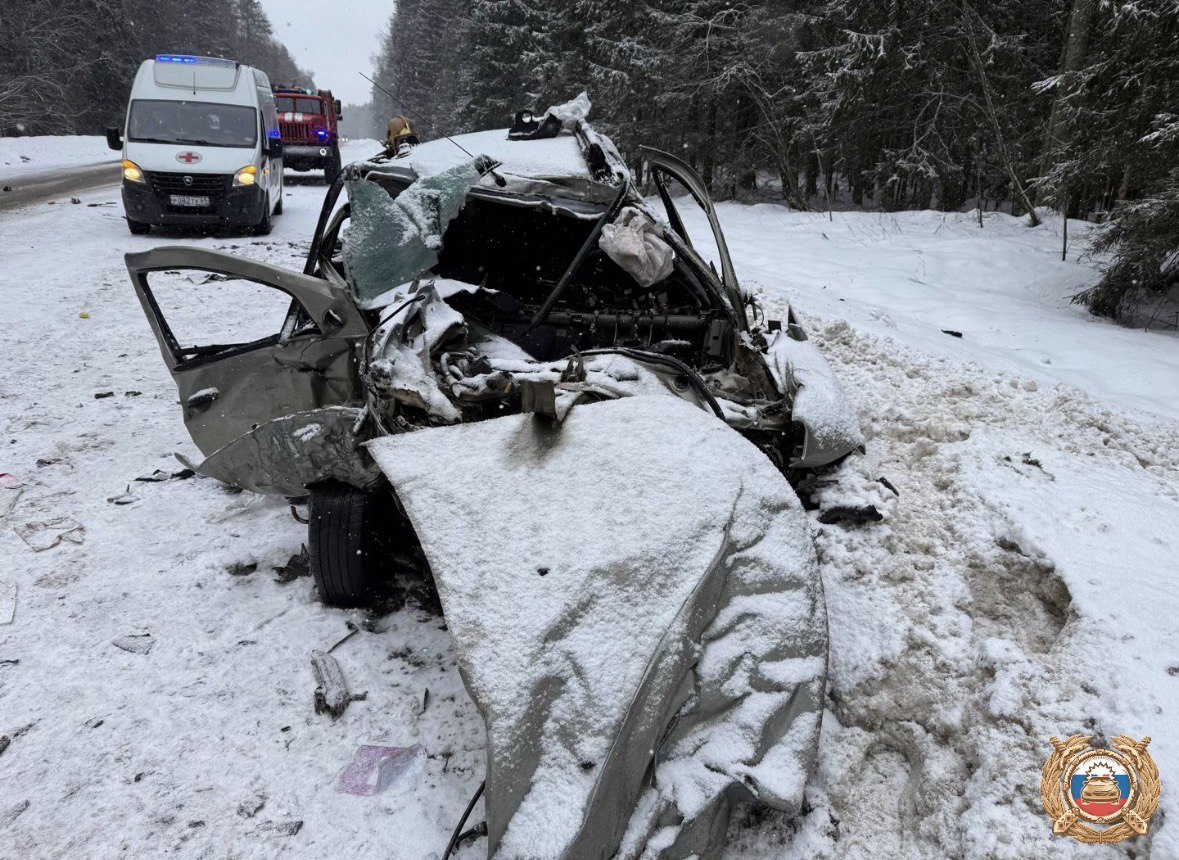 Пожилой водитель скончался на месте ДТП под Тверью
