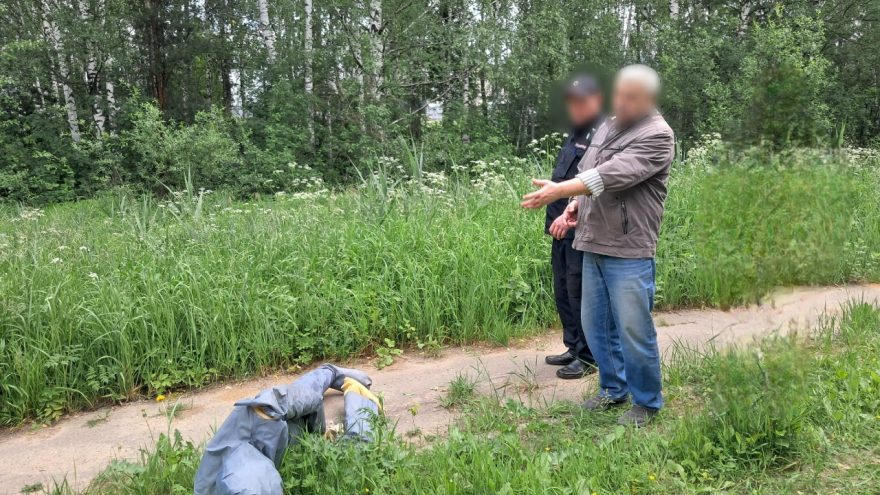 правосудия