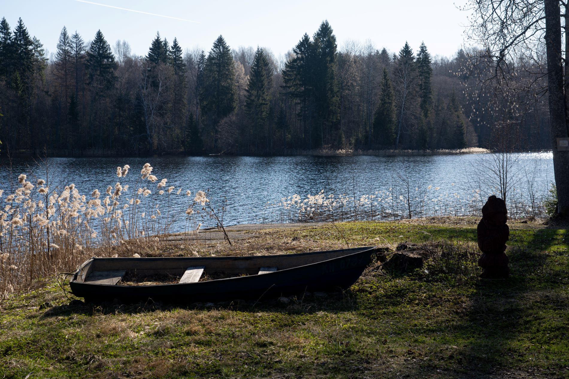 В Тверской области установлены даты пожароопасного периода, когда нельзя жечь костры
