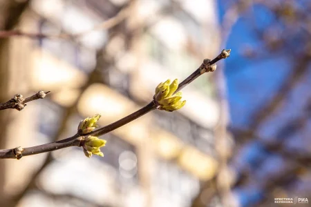 потепление