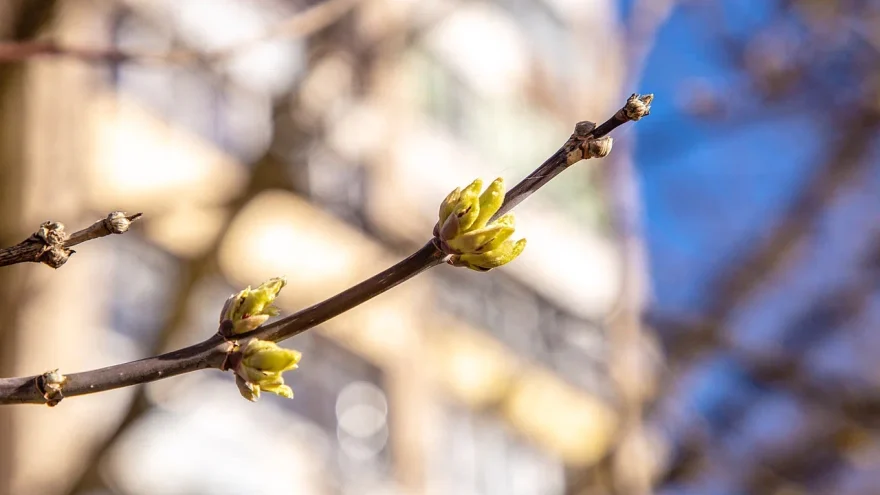 потепление