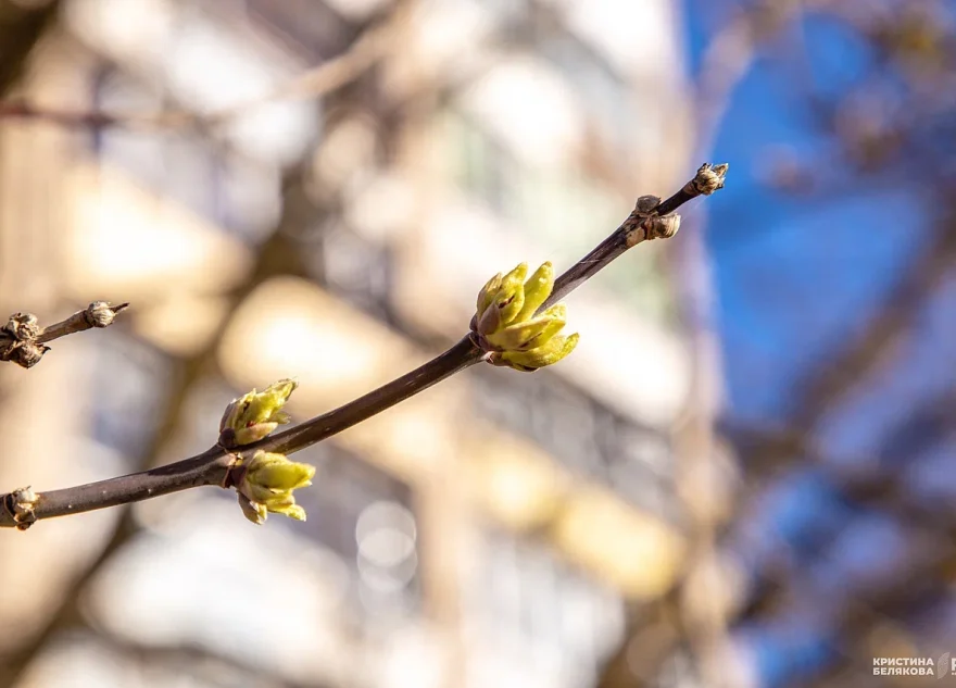 потепление