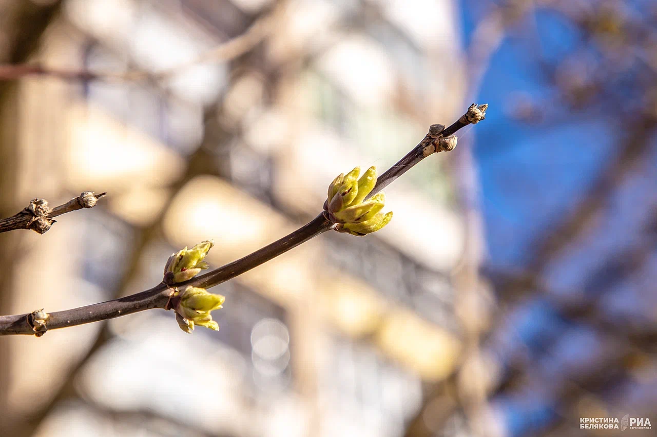 потепление